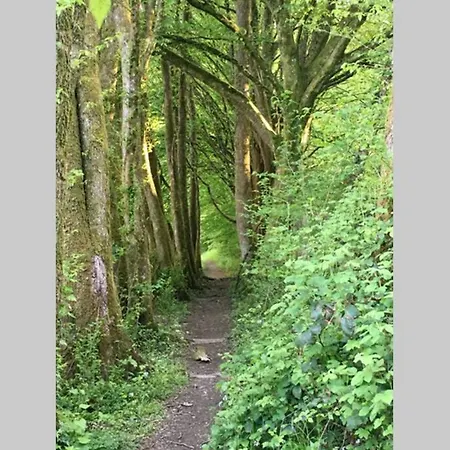 Apartment Authentic Ardenne