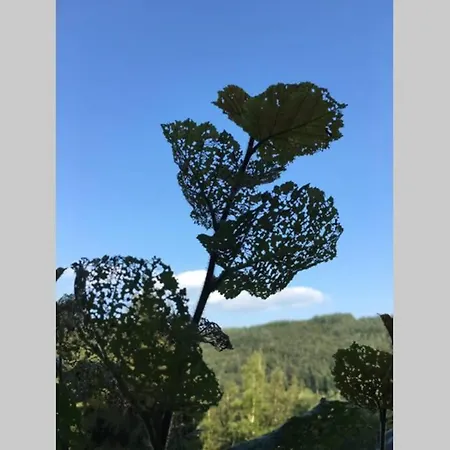 Authentic Ardenne Διαμέρισμα *