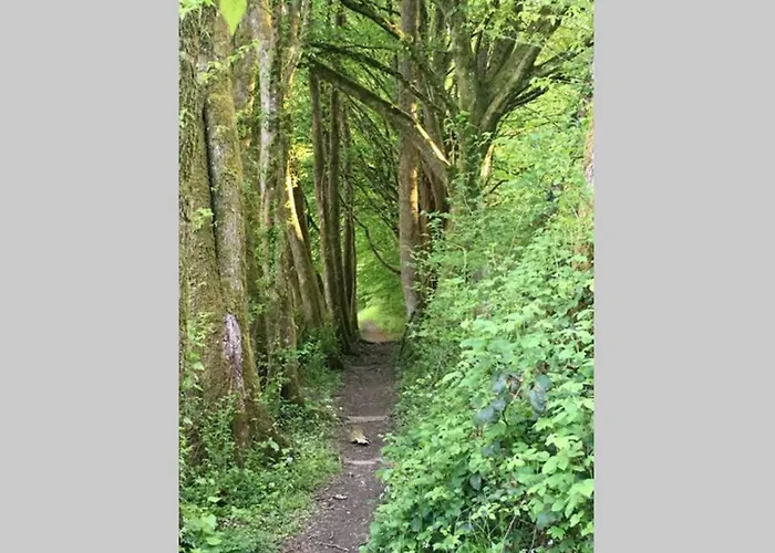 Appartement Authentic Ardenne