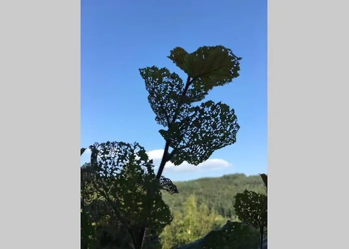 Authentic Ardenne Appartement *