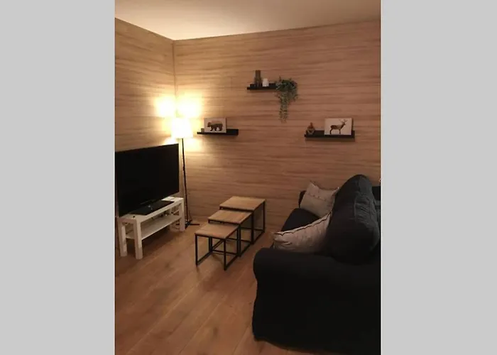 Authentic Ardenne Appartement *